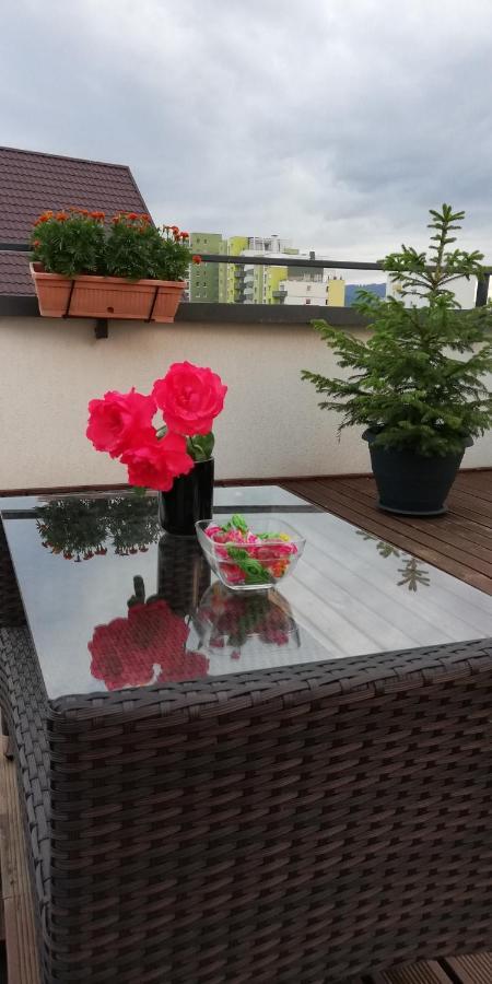 Ama Apartament Cu Terasa 50 Mp & Parcare Brašov Exteriér fotografie